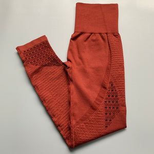 Energy Seamless Tummy Control Yoga Pants (Super Stretchy)