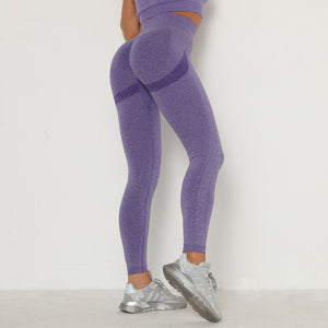 Seamless Pulse Leggings