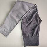 Ombre Seamless Leggings